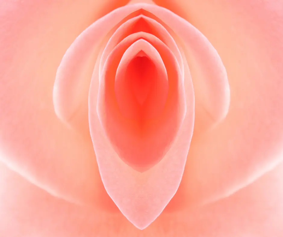 labia puffing image representation